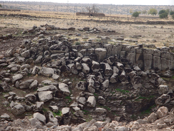 Paola Yacoub, B4, 2012