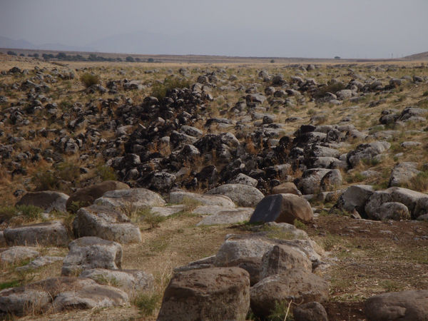 Paola Yacoub, B2, 2012