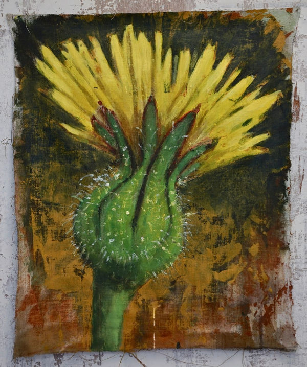 Omar Fakhoury, Goat Beard, 2024