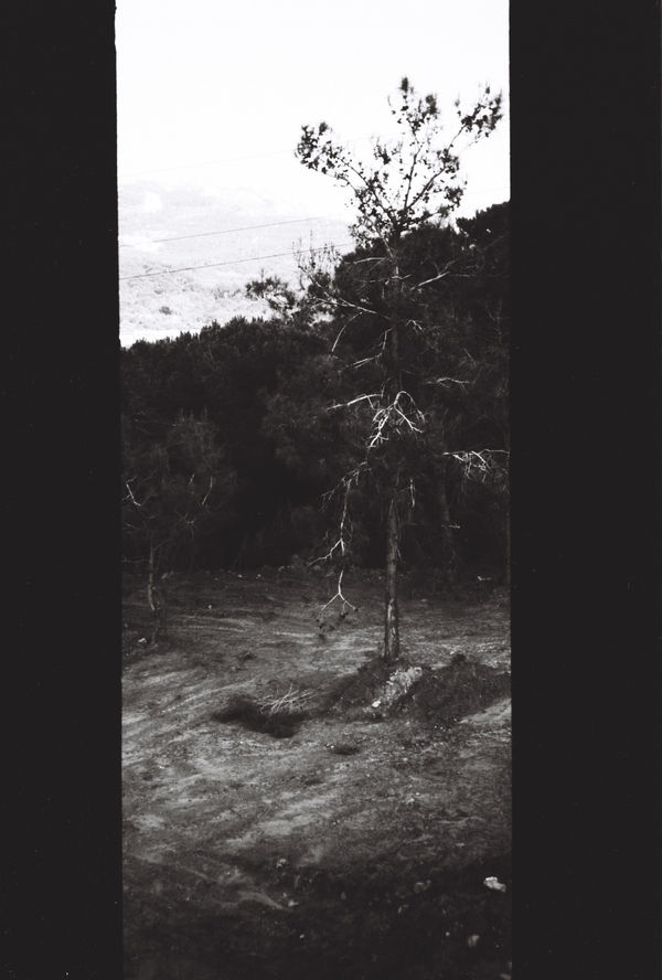 Paola Yacoub, A7, 1995