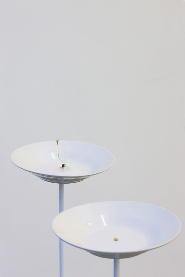 Stéphanie Saadé, Contemplating an Old Memory, 2017