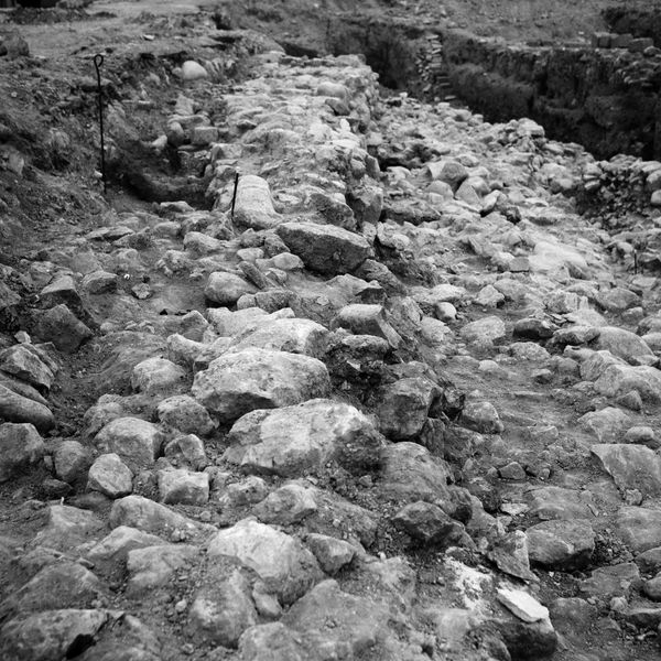 Paola Yacoub, F2, 1994