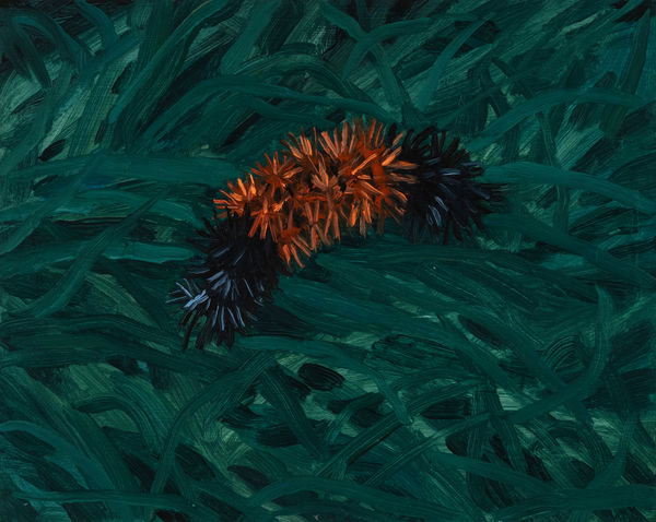 Claudia Keep October 1st, 5:00 PM, Wooly Bear, 2023 Oil on masonite panel 20.3 x 25.4 cm (8 x 10 in) 22.3 x 27.4 cm (8 ¾ x 10 ¹³⁄₁₆ in) framed