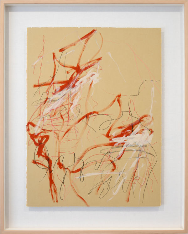 a'driane nieves Neuroplasticity in 4K (Transformative Re-Wiring) #1, 2023 Acrylic, pastel and pencil on paper 76.2 x 55.9 cm (30 x 22 in) Framed: 99 x 79 x 4 cm (39 x 31 1/8 x 1 5/8 in)