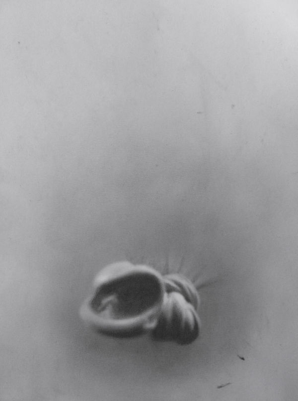 ZHANG Yunyao Spirit, water drop and the light (4), 2021 Graphite pencil on paper mounted on aluminum plate 26.7 x 20 cm