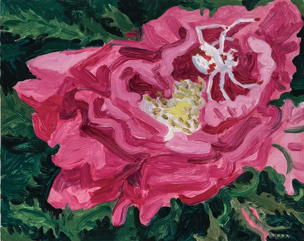 Claudia Keep Rose With Crab Spider, 2024 Oil on Masonite panel 20.3 x 25.4 cm (8 x 10 in) 22.3 x 27.4 cm (8 ¹³⁄₁₆ x 10 ¹³⁄₁₆ in)