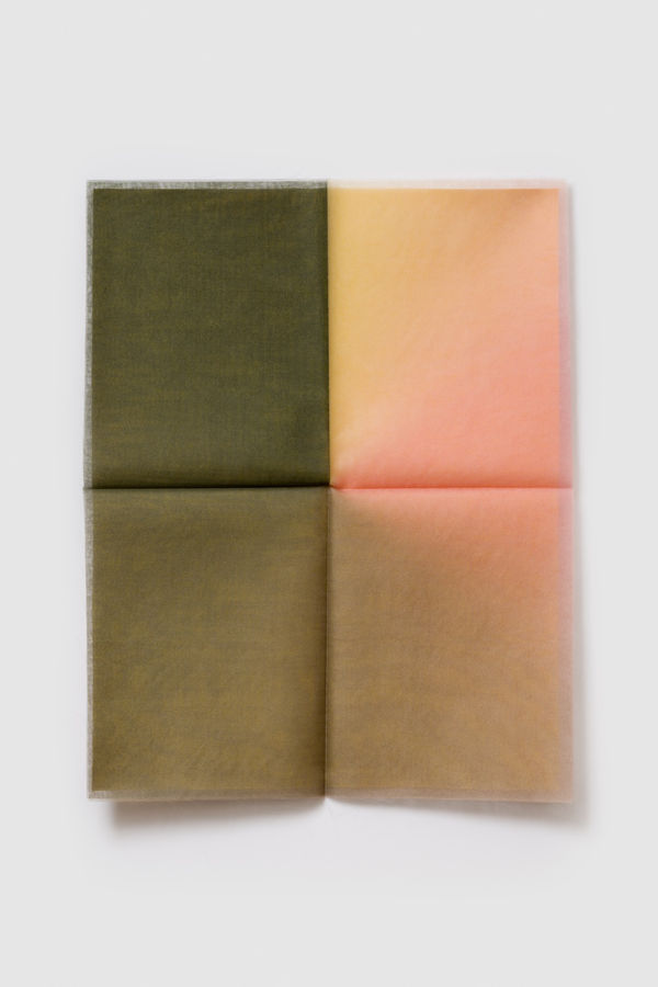 Letter Four (A fish leaping gracefully toward a million shimmering leaves, swimming against the current toward the light)