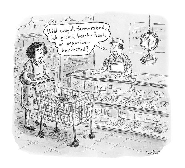 Roz Chast, Wild Caught,... , 2016, Nov. 7