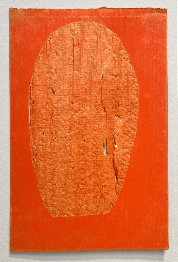 Allyson Strafella, orange pool, 2013