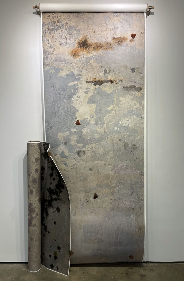 Reeva Potoff Wallpaper for 21st Century, 2021-2022 Microbes and Maggots archival inkjet prints