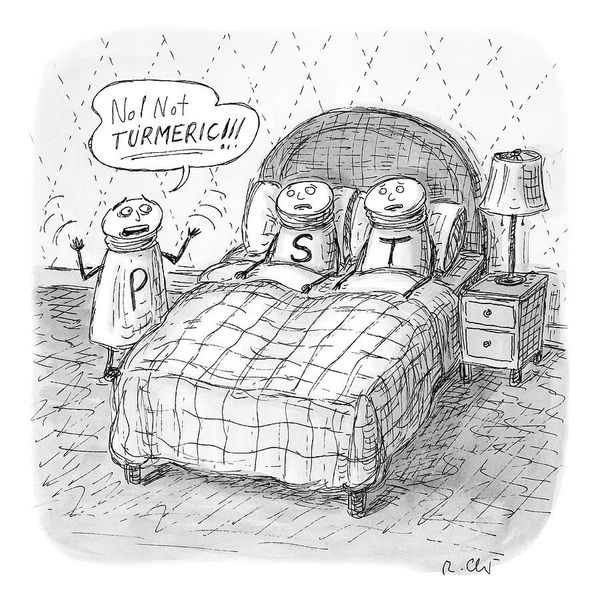 Roz Chast, No! Not Turmeric!!, 2022 August 15