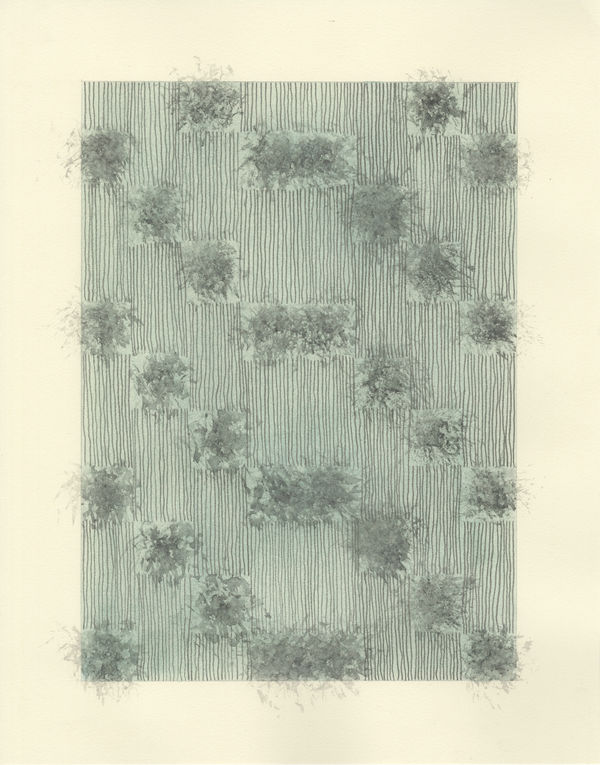 Margie Neuhaus Untitled (2023.5.5), 2023 pastel and watercolor graphite on paper 14 x 11 in.