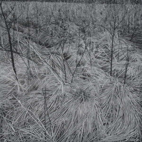 Cristina De Gennaro Westtown, NY, 2022 charcoal on mylar 42 x 42 in.