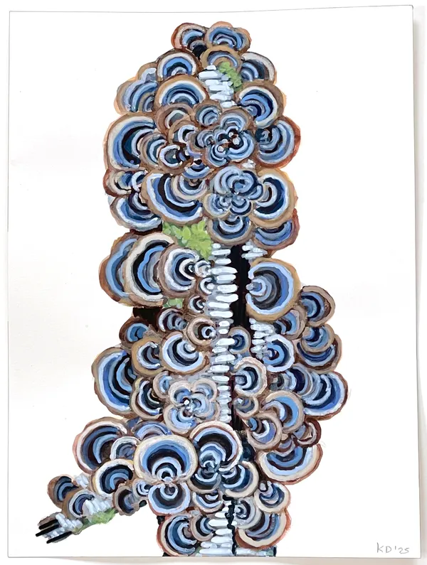 Katie DeGroot Little Limb V, 2025 watercolor and opaque watercolor on paper 12 x 9 in. framed size: 13.5 x 10.5 in.