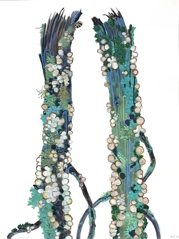 Katie DeGroot, Chit Chat II, 2026