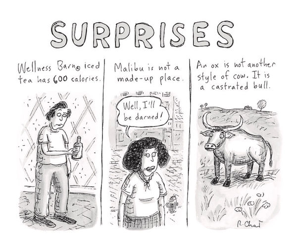Roz Chast, Surprises, 2024 March 4