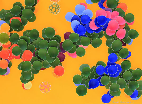 Larisa Safaryan, Blooms of Bliss II, 2023