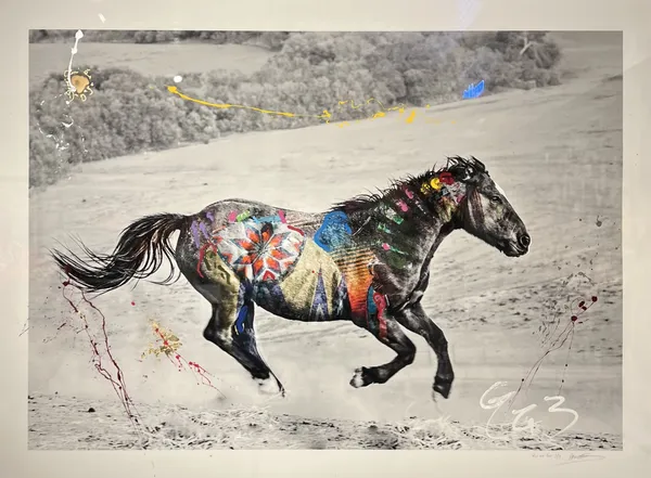 Arno Elias, Wild and Free - 3/9