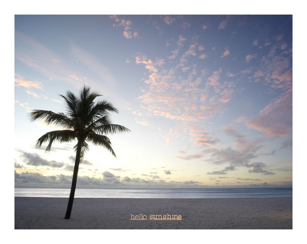 Anne Valverde, Hello Sunshine 2/12