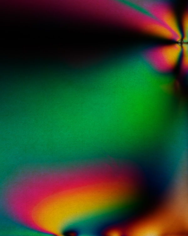 Albarrán Cabrera, Polarized #55003, 2023