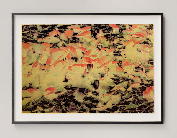 Albarrán Cabrera, The Indestructible #70035, 2025