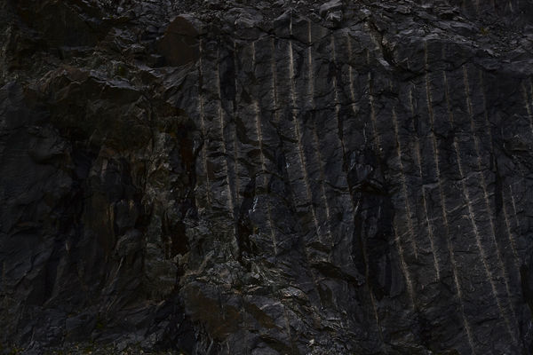 Judith Stenneken, Scratches, 2017