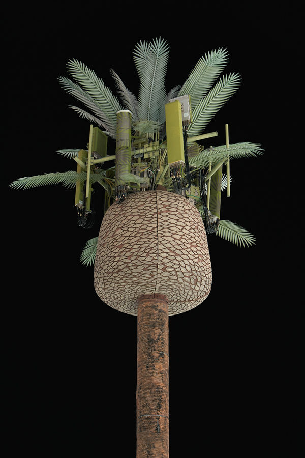 Kaya & Blank, Second Nature #89, 2022