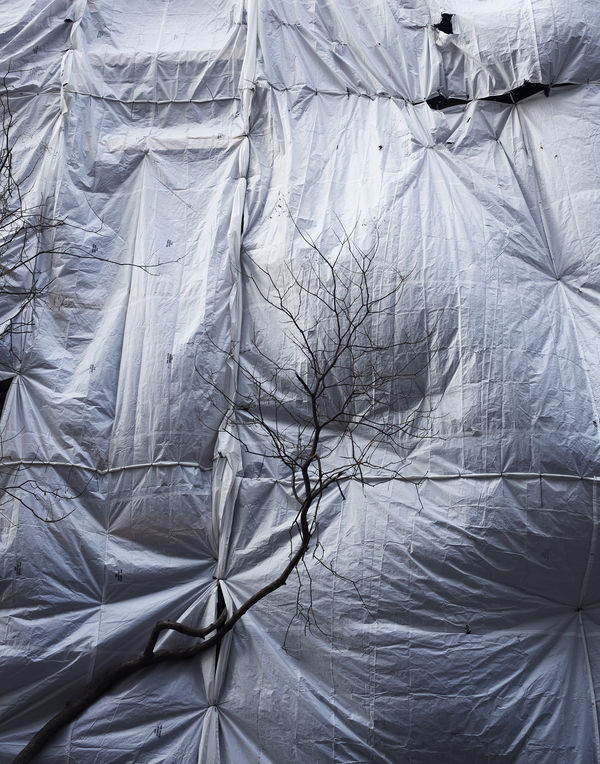 Judith Stenneken, Untitled #44, 2014