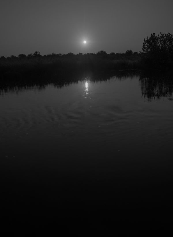 Bryan Schutmaat, River Sun, 2020