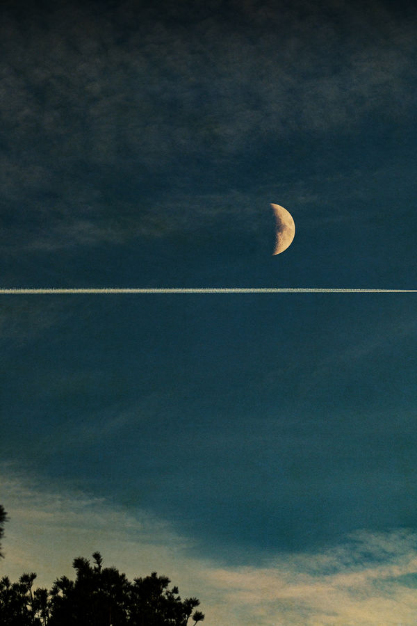 Albarrán Cabrera, The Mouth of Krishna #1010, 2024