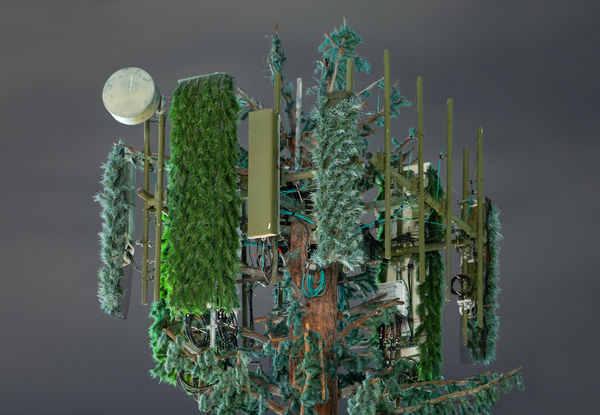 Kaya & Blank, Second Nature #10, 2022