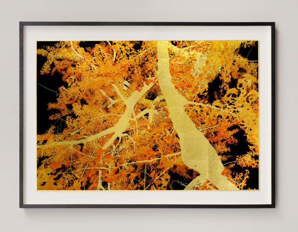 Albarrán Cabrera, The Indestructible #70013, 2025