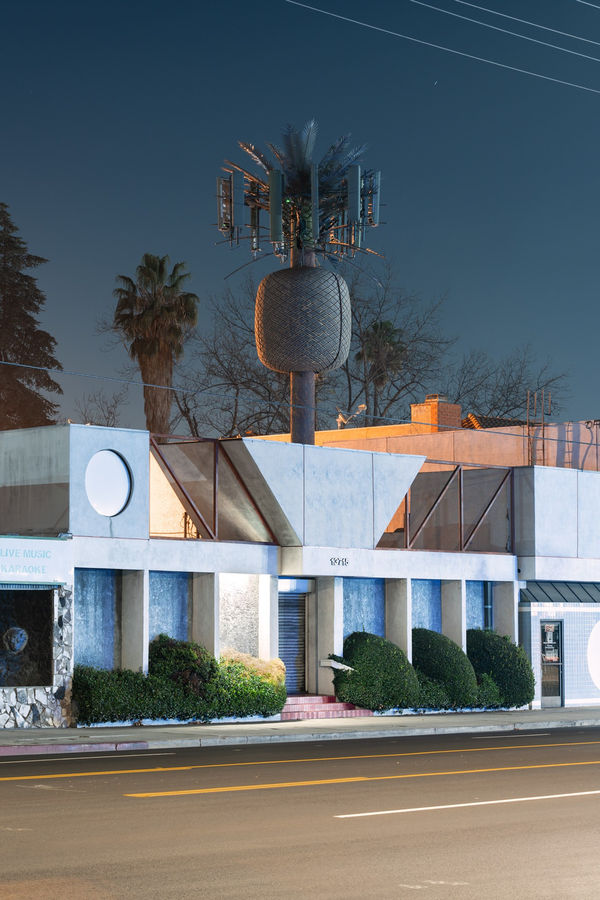 Kaya & Blank, Second Nature #74, 2022