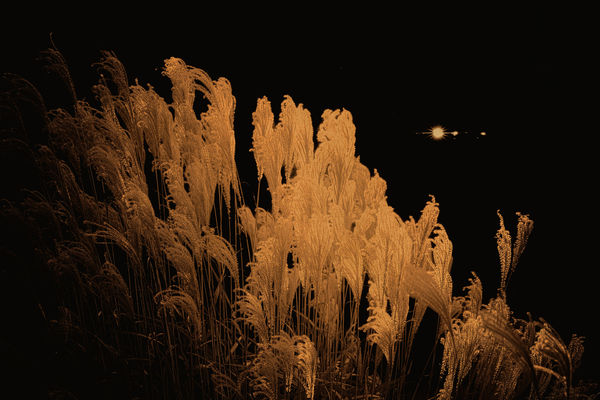 Albarrán Cabrera, The Mouth of Krishna, #813, 2019