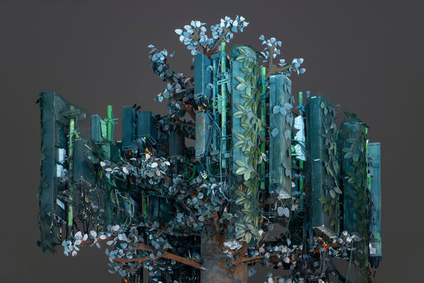 Kaya & Blank, Second Nature #2, 2022