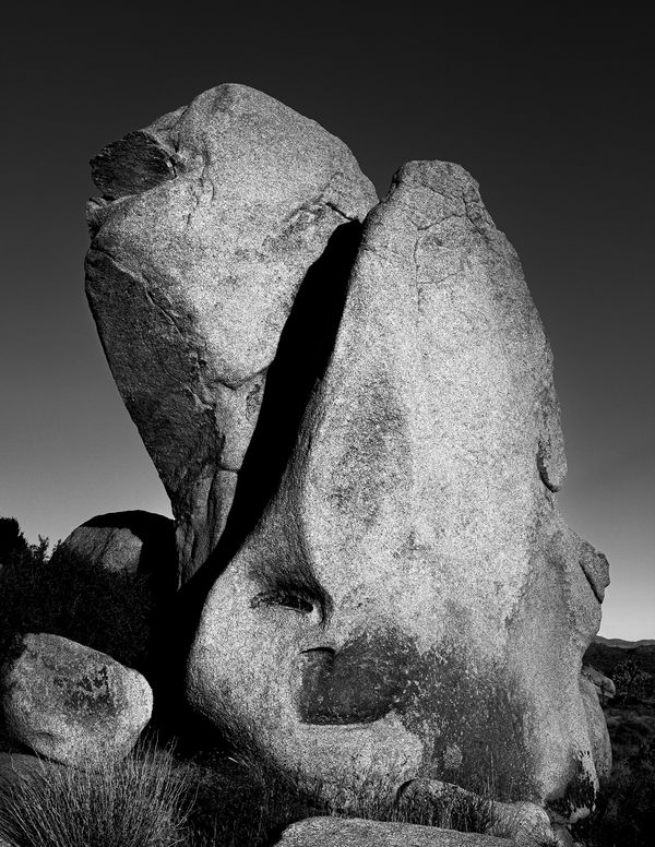 Judith Stenneken, Embrace, 2019