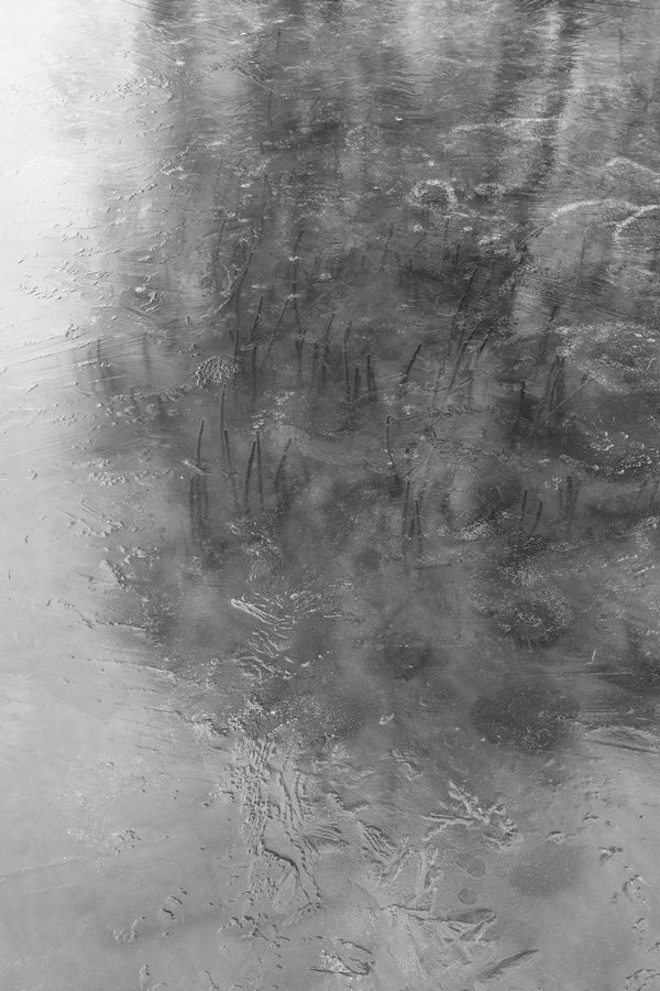 Judith Stenneken, Bistensee, 2021