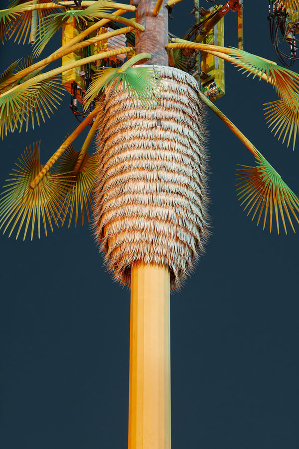 Kaya & Blank, Second Nature #67, 2022