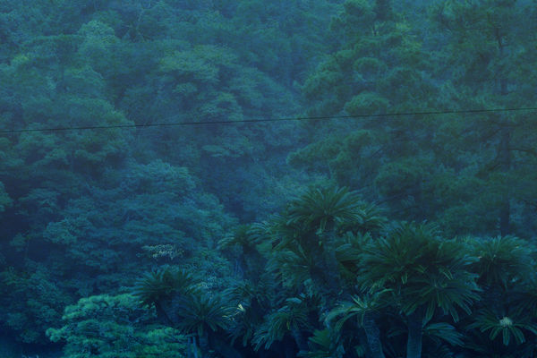 Albarrán Cabrera, The Mouth of Krishna, #490, 2016