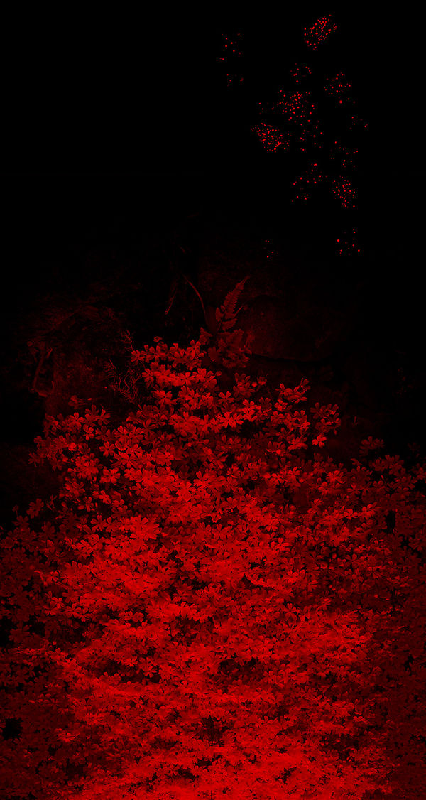 Albarrán Cabrera, The Mouth of Krishna, #921, 2014