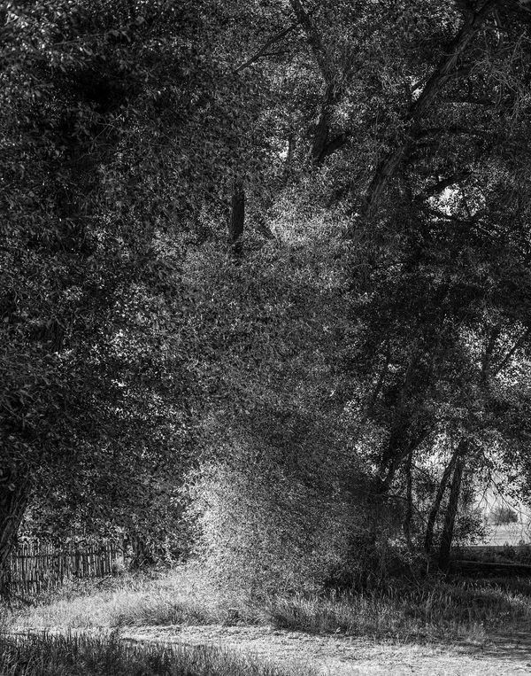 Judith Stenneken, Untitled #17, 2012