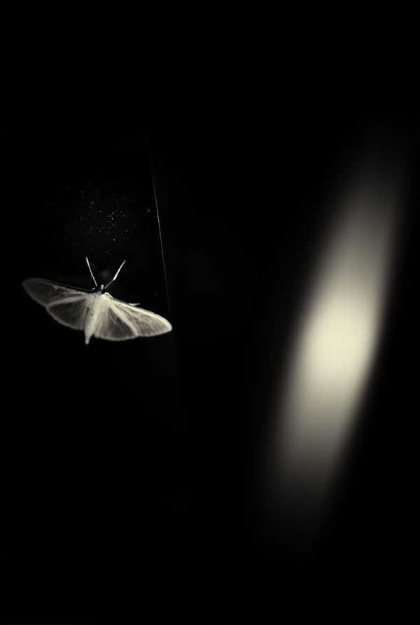 Albarrán Cabrera, The Mouth of Krishna, #147, 2013