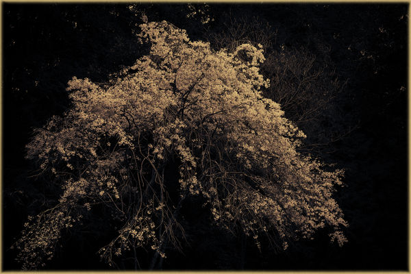 Albarrán Cabrera, The Mouth of Krishna #992, 2021