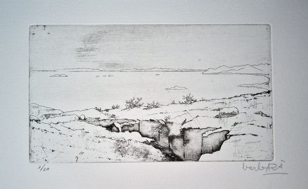 Joan Barbarà, Visió des del Puig de Molins , 1949-2008