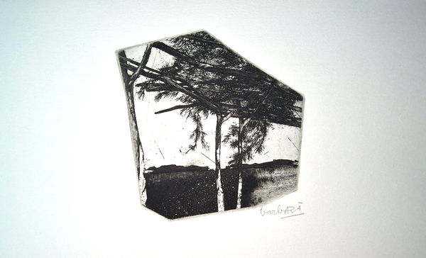 Joan Barbarà, Coberta d'Estelons (Publicado en Eivissa), 1949-2008