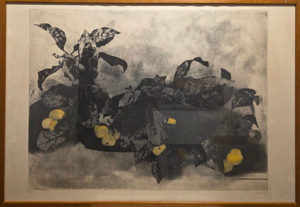 Joan Barbarà, Les Llimones, 1990s