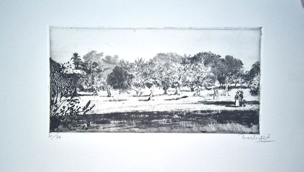 Joan Barbarà, Passeig vers a Pormany (Publicado en Eivissa), 1949-2008