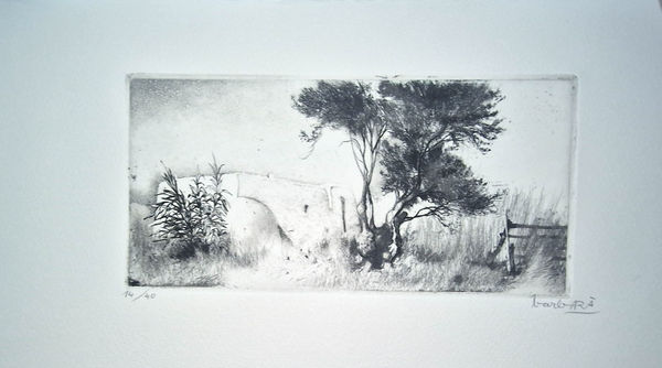 Joan Barbarà, Propses Feixes (Publicado en Eivissa), 1949-2008