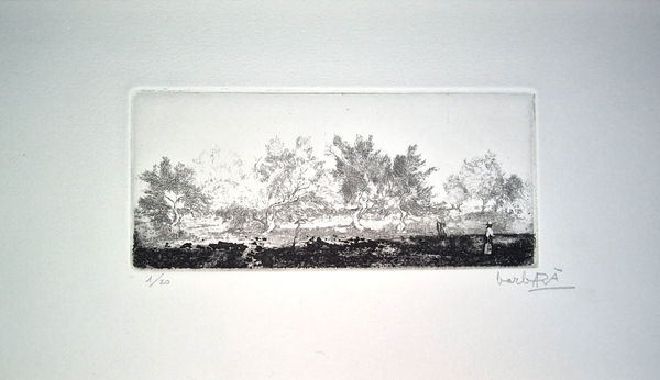 Joan Barbarà, Camí a Pormany, 1949-2008