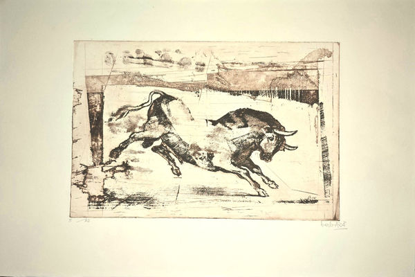 Joan Barbarà, Toro Goyesco, 1996